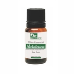 Dermare Óleo Essencial de Melaleuca (10ml) 100% Natural