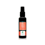 Desodorante de Aloe Vera SEM Alumínio Organico Natural Vegano Spray 120ml