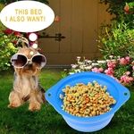 Dobr¨¢vel Dog Pet Bowl ¨¢gua Food Alimenta??o 850 mL bacia port¨¢til com Buckle