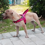 Dog Harness fácil ligar e desligar ajustáveis ¿¿cães grandes médias, Reflexivo nenhum Puxe Training Vest para cães andando arnês