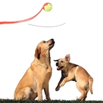 Dog Lançador Desporto, Bola Thrower Dog Pet Toy treinamento interativo com bola de tênis