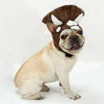 Dog Triceratops decorativa Design Dinossauro Dog Cap Headwear para Costume Festa de Natal
