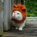 Dogloveit Costume Pet Lion Mane peruca para Dog Cat Halloween Dress up com orelhas