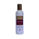 Dry Hair Shampoo Biozenthi 250ml