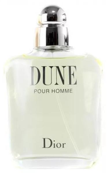 Dune Pour Homme Masculino Eau de Toilette 100ml - Christian Dior