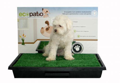 EcoPatio Sanitário Canino com Grama - São Pet