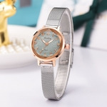 Stylish And Simple Matte Disk Digital Silver Mesh With Quartz Female Watch