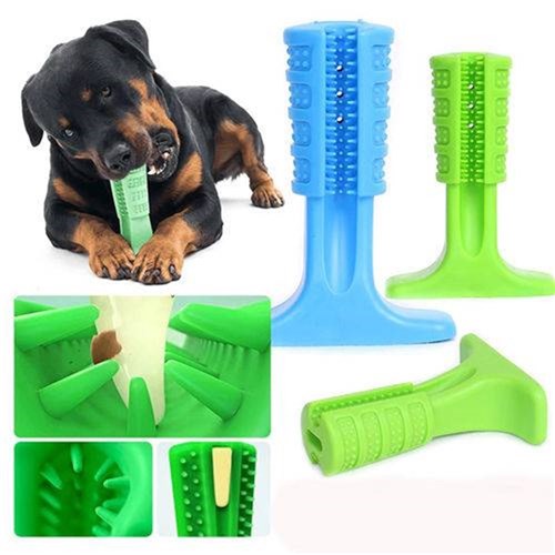 Escova de Dente e Mordedor para Cães Petlon Verde M