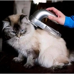 Escova Elétrica Aspirador Suga Pelo Pet Cachorro E Gato