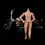 Escultura Seamless Corpo Masculino Super Flexible corpo esqueleto destac¨¢vel A?o