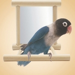 Espelho Pássaro de madeira engraçado ficar Platform Toy Pássaro para Papagaios Cockatiel