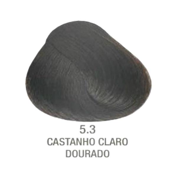 Evolution Coloração Creme 5.3 Castanho Claro Doura - Alfaparf