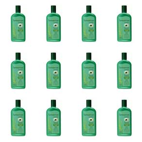 Farmaervas Babosae Ginseng Shampoo 320ml - Kit com 12
