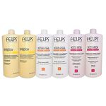 Felps Kit Shampoo e Condicionador Xrepair + Xcolor + Xintense (6x1L)