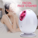 Ferro Facial Steamer Hot Névoa Hidratante Pos de Limpeza Pretos Acne Home Sauna SPA System