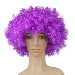 Party Disco Funny Afro Clown Hair Football Fan-Adult Afro Masquerade Hair Wig¡¡