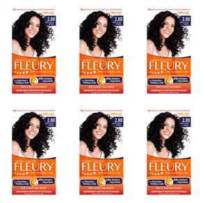 Fleury Tinta - Kit 2.88 Preto Especial - Kit com 06