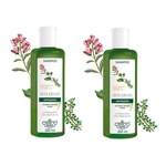 Flores E Vegetais Kit Shampoo Sete Ervas 300ml 2 Unidades