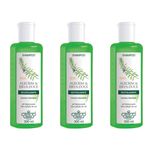Flores & Vegetais Alecrim e Erva Doce Shampoo 300ml (kit C/03)