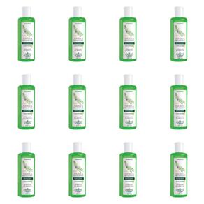 Flores & Vegetais Alecrim e Erva Doce Shampoo 300ml - Kit com 12