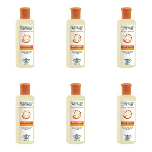 Flores & Vegetais Antifrizz Shampoo 300ml (kit C/06)