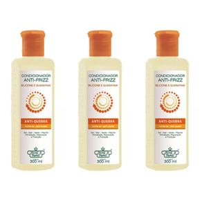 Flores & Vegetais Antifrizz Shampoo 300ml - Kit com 03