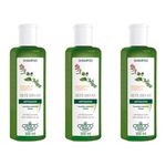 Flores & Vegetais Antiqueda 7 Ervas Shampoo 300ml (kit C/03)