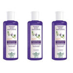 Flores & Vegetais Blond Matizante Shampoo 300ml (kit C/03)