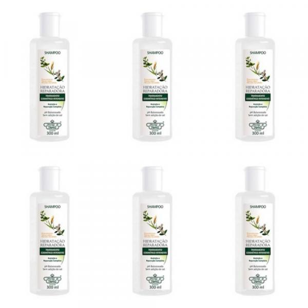 Flores Vegetais Hidratação Reparadora Shampoo 300ml (Kit C/06)