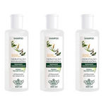 Flores & Vegetais Hidratação Reparadora Shampoo 300ml (kit C/03)