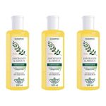 Flores & Vegetais Jaborandi Arnica Shampoo 300ml (kit C/03)