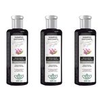 Flores & Vegetais Matiz Diamante Negro Shampoo 300ml (kit C/03)