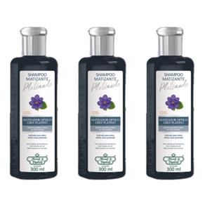 Flores & Vegetais Matizante Platinado Shampoo 300ml - Kit com 03