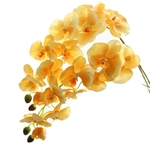 Flower Phalaenopsis Hidratante Artificial Flower Decora??o Simula??o