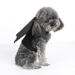 Folding feltro Simular Asas tecido com Leash Buckle Pet Dog Cosplay Halloween