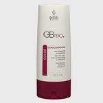 Gaboni Gb Pro Color Condicionador 250ml