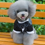 Gentleman Suit Roupas Pet Dog la?o do vestido de casamento formal para c?es Costume