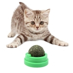 Girando Dentes Catnip Mint Bola Natural Gato Snacks Licking Sugar limpeza Toy Grinding