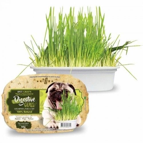 Graminha Cães Digestive Grass Natural Ipet Regula Flora 50g