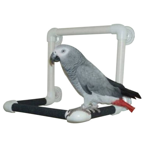 Grande Pet pe Bar do brinquedo com ventosa para o papagaio Aves de banho