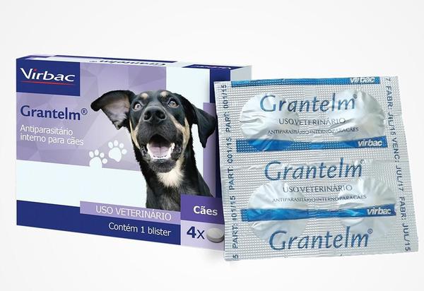 Grantelm - Vermífugo para Cães - Virbac - 4 Comprimidos