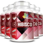 Hibisco - 100% Puro - 5 Potes C/ 60 Cápsulas Cada