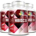 Hibisco - 100% Puro - 3 Potes c/ 60 cápsulas cada
