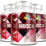 Hibisco - 100% Puro - 3 Potes Com 60 Cápsulas Cada