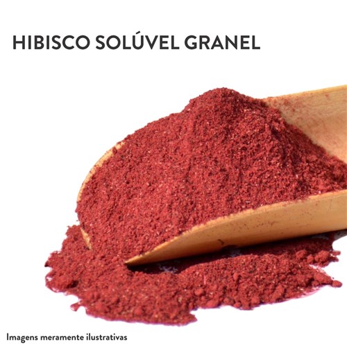 Hibisco Solúvel Granel (500G)