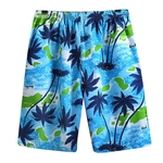 Homens Casual Shorts coloridos soltos Printing Quick Dry Praia