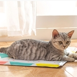 Pet Verão Resistente À Mordida Cooling Gel Pad Mat Para Gatos Nest