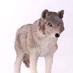 Identificação CE Simulação Zoo Toy Prairie Lobo de madeira preto Animais Modelo