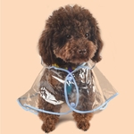 Imperme¨¢vel transparente revestimento de chuva Dog Raincoat com capuz para Pet Shop