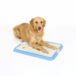  Indoor WC Pet Dog Training Limpeza Gridding Pad Pet WC Bandeja Mat para Pet Shop